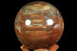 Colorful Petrified Wood Sphere - Madagascar #71422-1